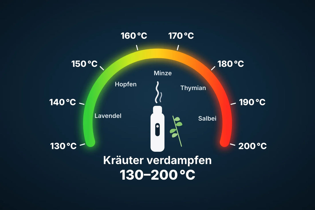 Kräuter verdampfen: Vaporizer-Temperatur von 130 bis 200 Grad Celsius, von Lavendel über Pfefferminze bis Salbei.