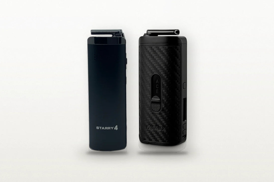 XMAX Starry V4 vs. Ace – Vergleich