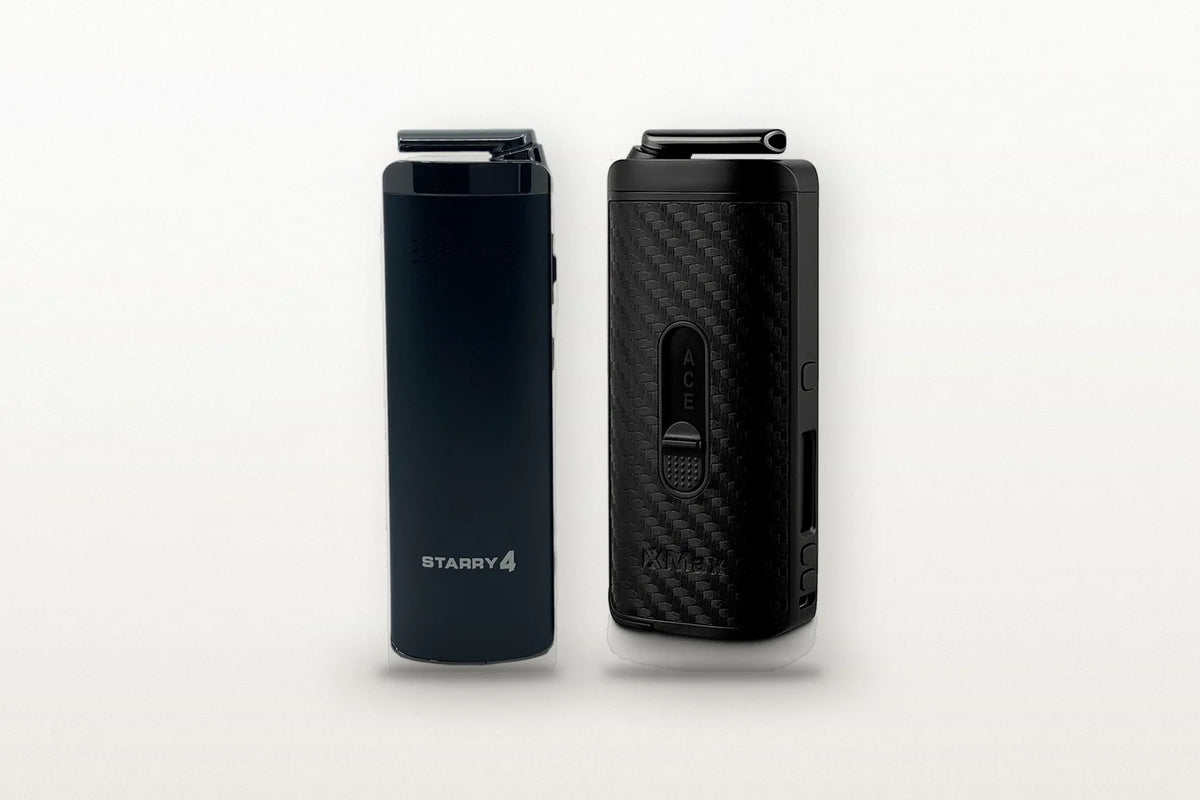 XMAX Starry V4 vs. Ace – Vergleich